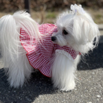 犬服　ギンガムチェック　フリルワンピ　オーダー