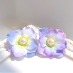 ふんわり華やか紫陽花