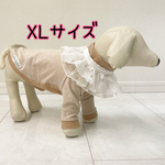 【即納品】つけ襟付きカットソー XLサイズ