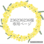 236236236様専用ページ