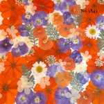 ♡new♡作家様必見♡押し花MIXセット♡押し花セット