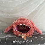 rask様専用🌸サーモンピンクの❤︎ロップイヤーラビット