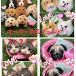 犬猫うさぎオーダー羊毛フェルトストラップ