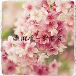pink-10o様専用ページ♡