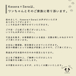 【3/30着手予定】テープタイプオムツカバー　オーダー専用ページ　no.1