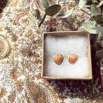 （✖︎イヤリング変更不可）《silver925》orange spiny shell ❁ baby heart earrings ✴︎