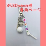 専用ページ