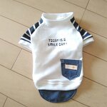 専用ページ