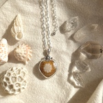 《silver925》fossil coral ❃ flower necklace✴︎