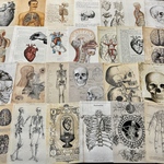 (再販×13)Anatomy🫀解剖学のペーパーセット＊コラージュ素材＊コラージュペーパー＊ジャンクジャーナル