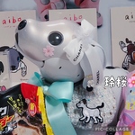 フラワーパール✖️ブラックパール（艶あり）イヤリング