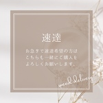 ネイルチップ 速達 