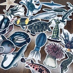 ビンテージ　 marine organism　海の生物　魚のフレークシール　