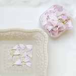 ☆押し花☆　スターチス　淡ピンクパープル　レジン　花材　素材　封入　無着色