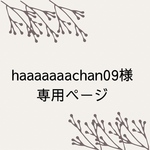専用ページ