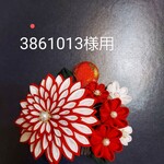 3861013様用です。