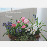 ♡恋するデージーの可愛い寄せ植え