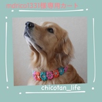 ⭐︎mdrico1331様専用カート⭐︎他の方のご購入はお控えください