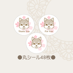 【送料無料】丸シール　 桜柴犬　48枚　文字抜き可