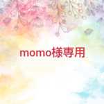 momo様専用.*･ﾟ海のビーチサンダルピアス