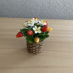 苺5   籠鉢