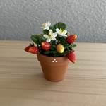 苺4