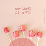 tora3bc様ご注文専用　再販　aiboちゃんの本格サロペット