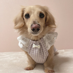犬服★ ティアードスリーブワンピ　ギンガムチェック　パープル