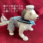 aiboセーラー服