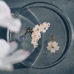 陽の光で色づく桜のイヤーカフ&イヤリングセット　薄紅(赤)色