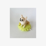  cocoちゃん専用羊毛フェルトオーダーチワワ