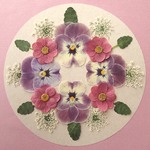 押し花セットA＜組み立てのお花＆パンジー＆レースフラワー他＞