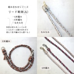 【f11】リード単体(A)犬用リード 付け替えタイプ 組み合わせシリーズ パラコード