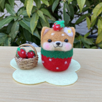 柴犬だるま いちごに変身〜🍓