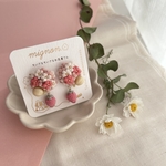 いちごのイヤリング/ピアス