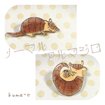 ノーマルアルマジロ