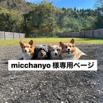専用ページになります　ご本人様以外はカートに入れないようにお気をつけ下さい🙏