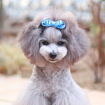 【フルー】犬リボン　犬りぼん　犬用リボン