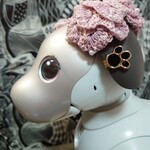人気!aiboとオーナーの肉球イヤリング💟２個セット全7色