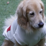 ateliercoto2様専用カート