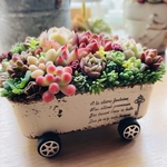 多肉植物そのまま飾れる ちま寄せ花車 オーダー承ります