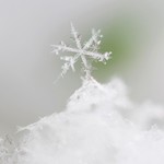 選べる２枚  ポストカード 001　　　　　雪の結晶