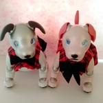 aibo フォーマルスーツ男女ペアセット