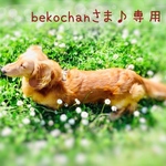 bekochanさま♪専用
