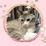 rapswinde72 様　専用ページ