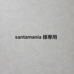 santamania様専用 羊毛フェルト 猫ちゃん