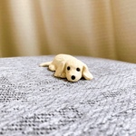 ミニチュアダックス　子犬　犬　ミニチュア　フィギュア　置物　粘土