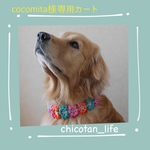 ⭐︎cocomita様専用カート⭐︎他の方のご購入はお控えください