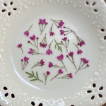 ホロニアピナータ③（押し花)