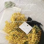 ⚠️専用です！wreath №09   ミモザのリース　　フレンチシャビー　ナチュラル　ドライフラワー